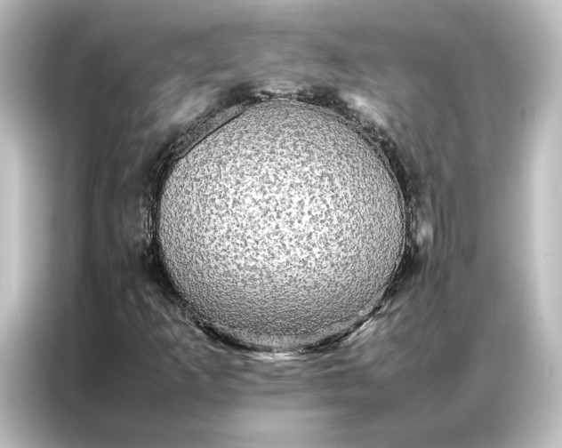 X0000087061253200705021210