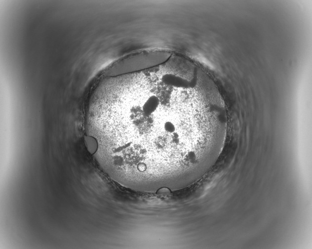 X0000087061255200705021209