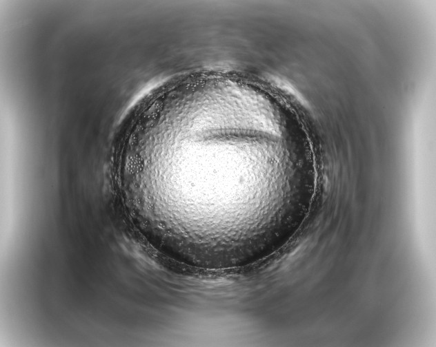 X0000087061256200705021209