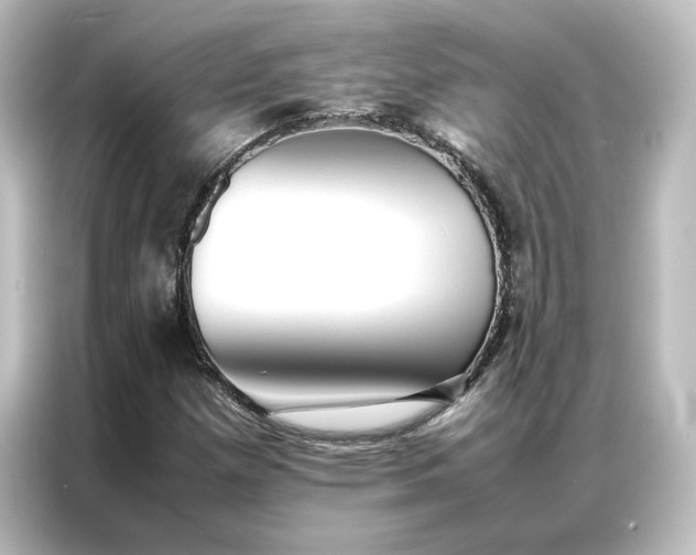 X0000087061257200705021209