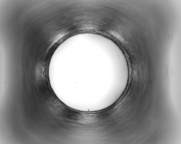 X0000087061258200705021209