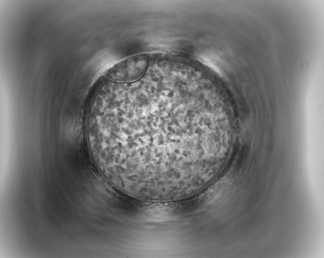 X0000087061259200705021209