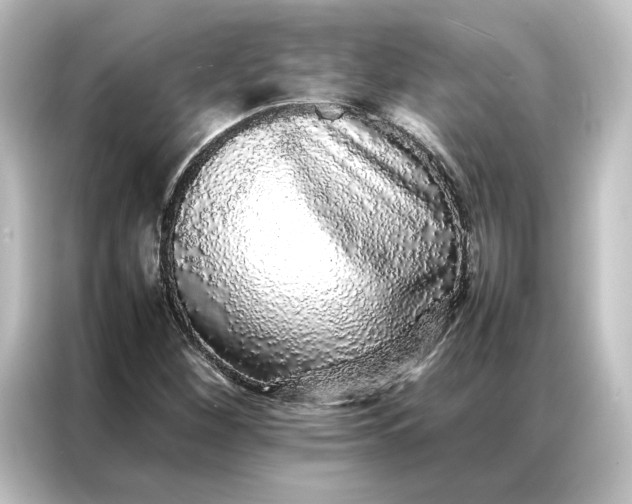 X0000087061260200705021209