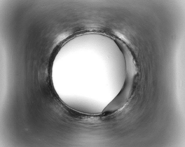 X0000087061261200705021209