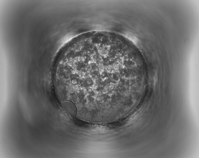 X0000087061263200705021209