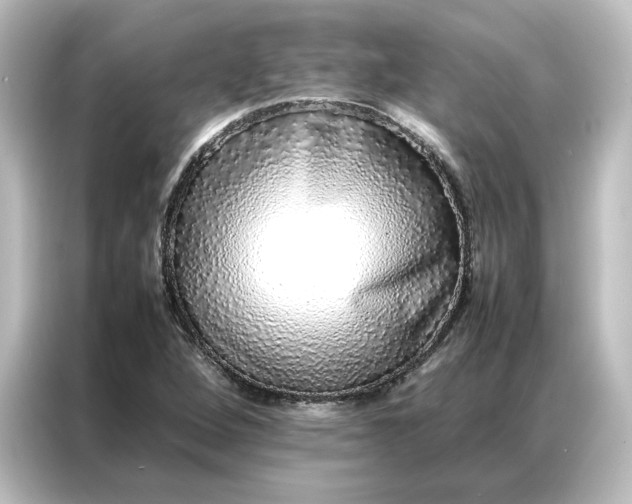 X0000087061264200705021209