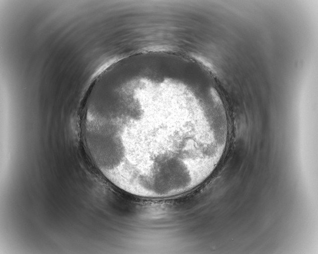 X0000087061266200705021209