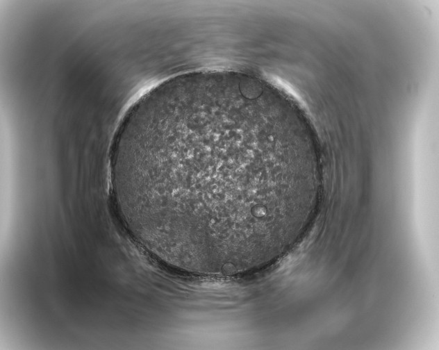 X0000087061267200705021209