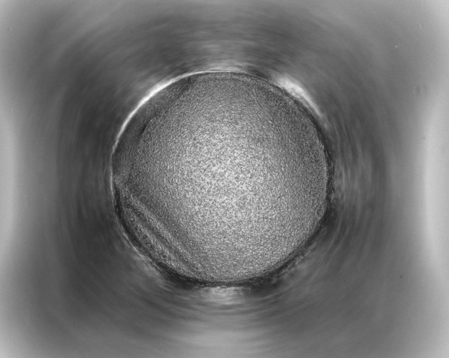 X0000087061268200705021209