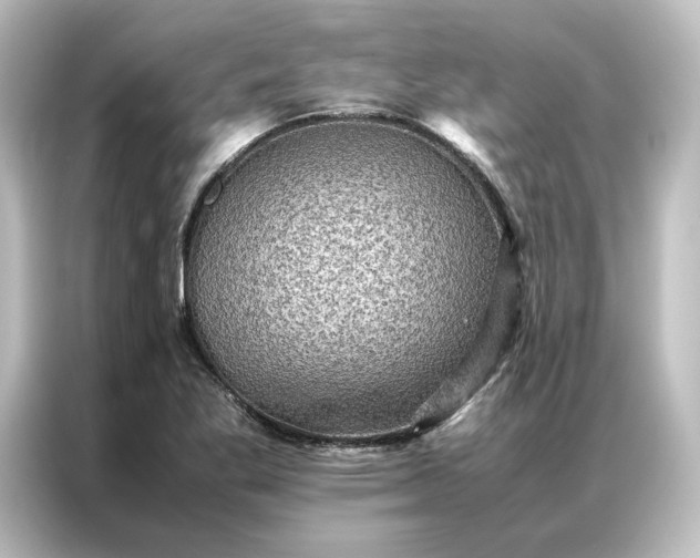 X0000087061269200705021209