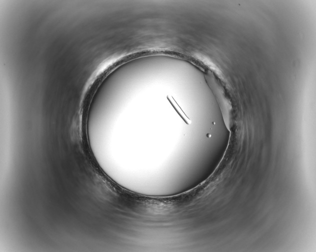 X0000087061270200705021209