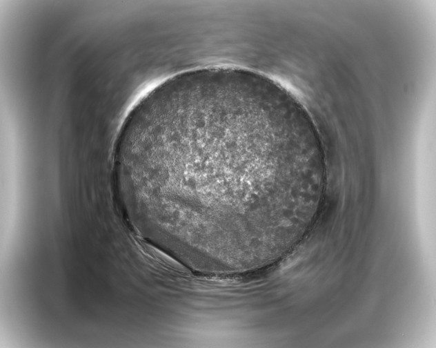 X0000087061271200705021209