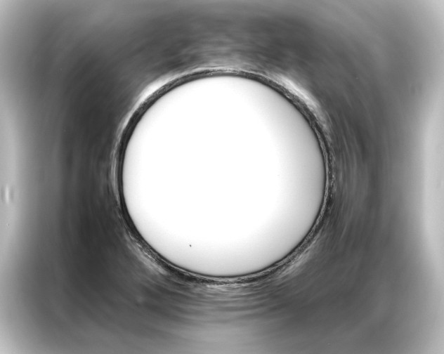 X0000087061272200705021209