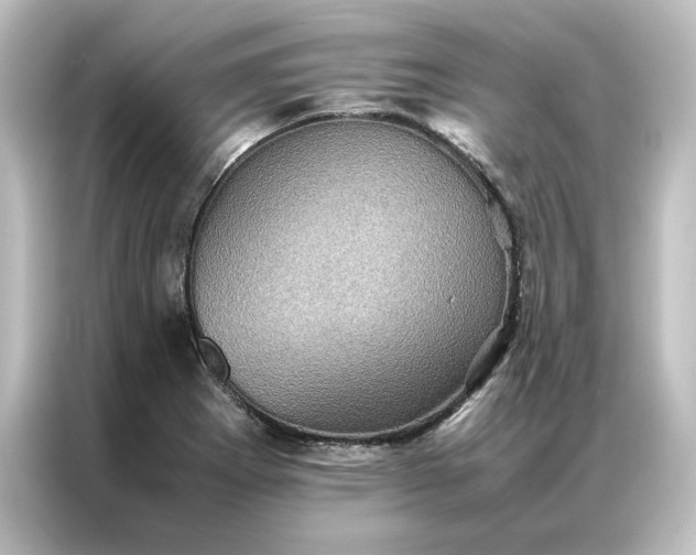 X0000087061273200705021209