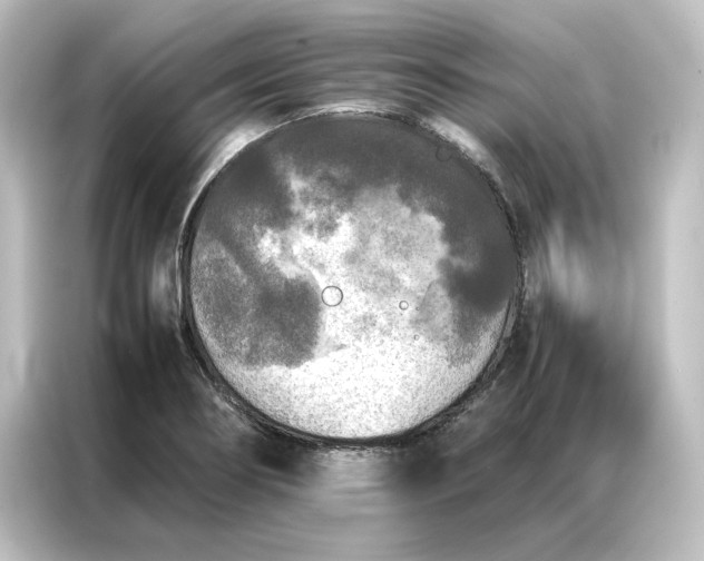 X0000087061274200705021209