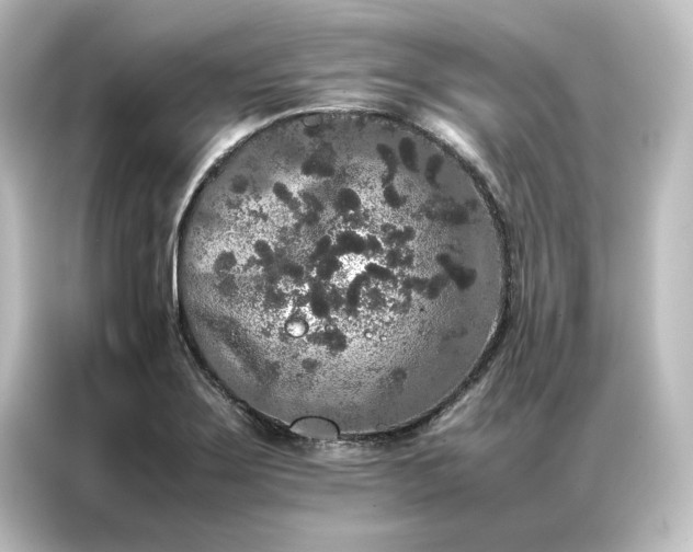 X0000087061275200705021209