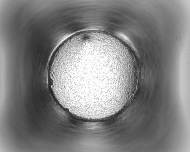 X0000087061276200705021209