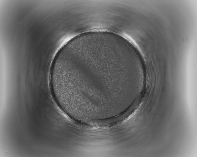 X0000087061277200705021209