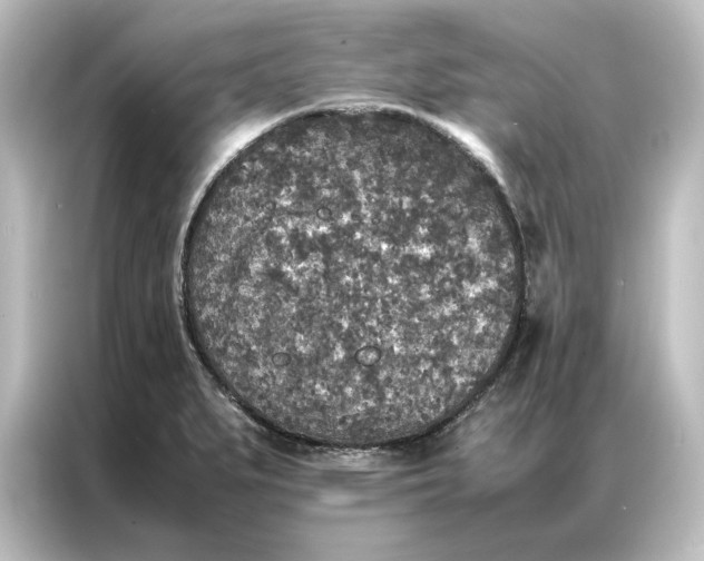 X0000087061279200705021209