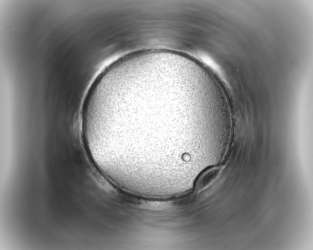 X0000087061280200705021209