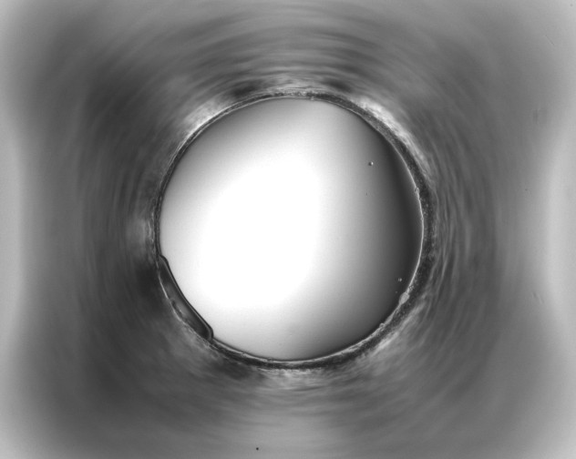 X0000087061281200705021209