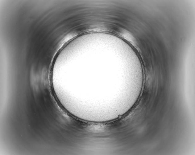 X0000087061282200705021209