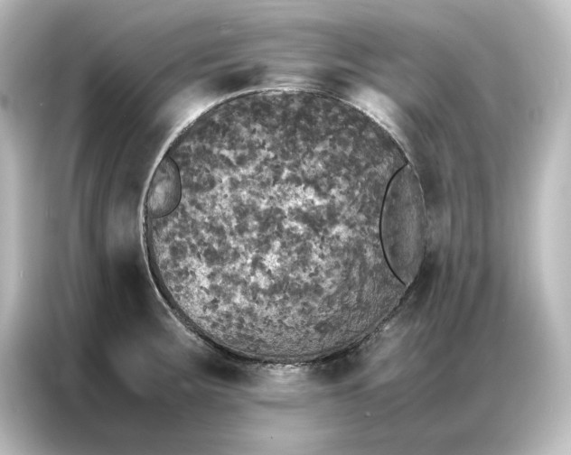 X0000087061283200705021209