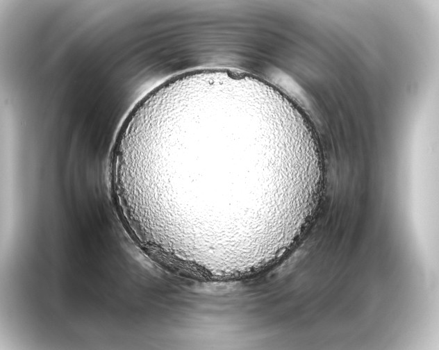 X0000087061284200705021209