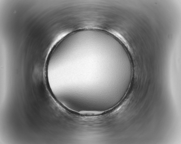 X0000087061285200705021209