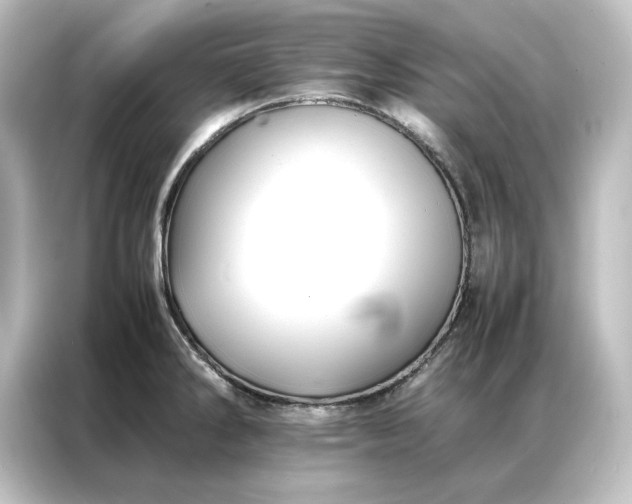 X0000087061286200705021209