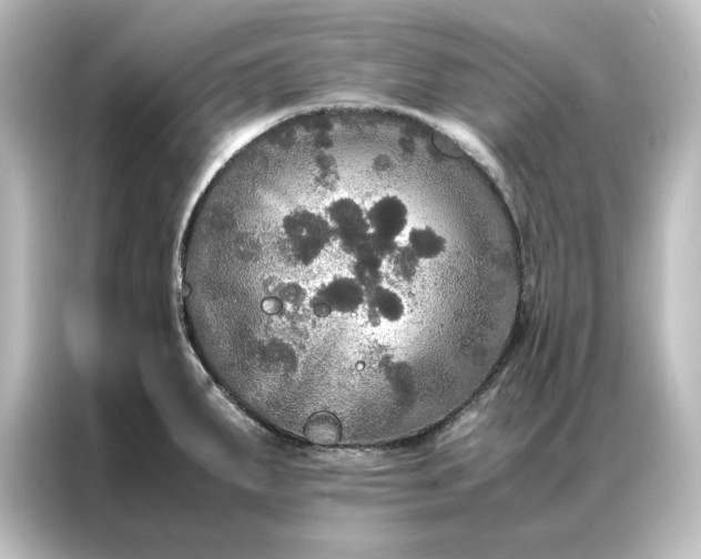 X0000087061287200705021209