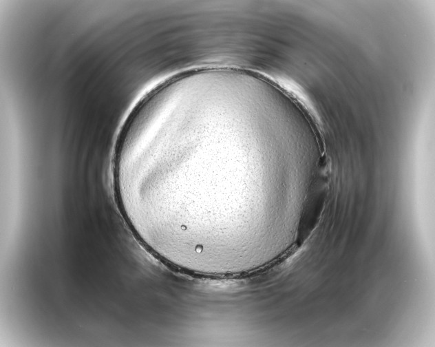 X0000087061288200705021209