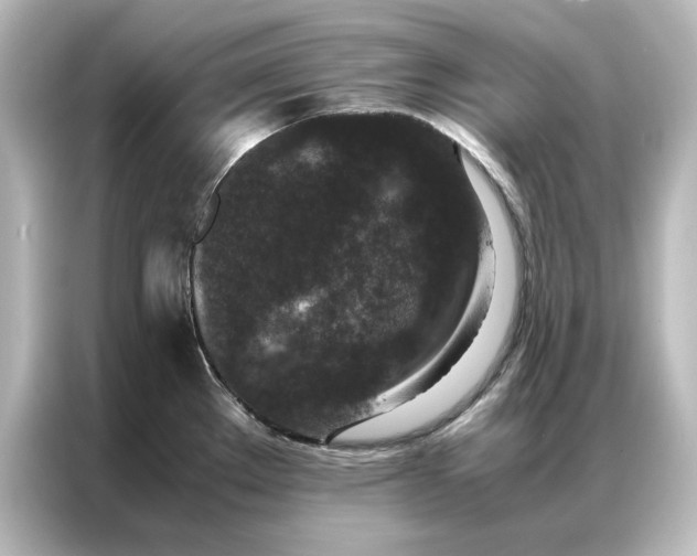 X0000087061289200705021209