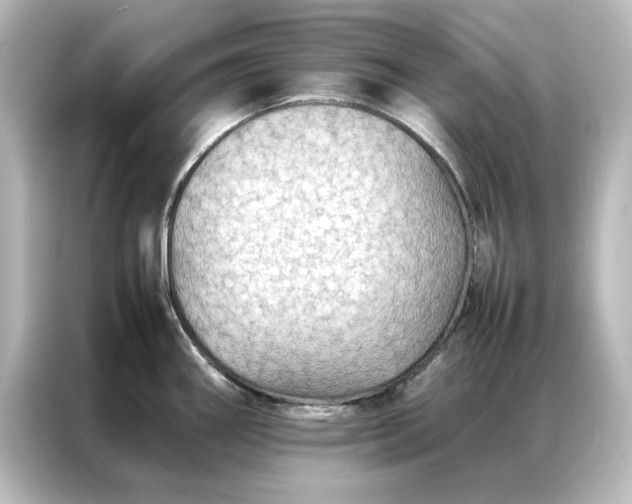 X0000087061290200705021209