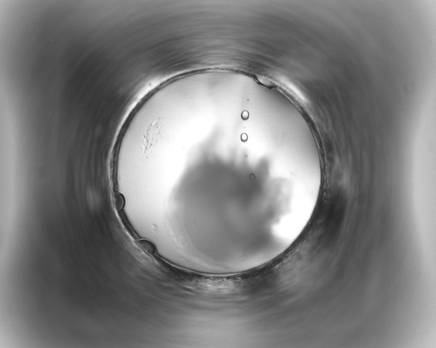 X0000087061291200705021209