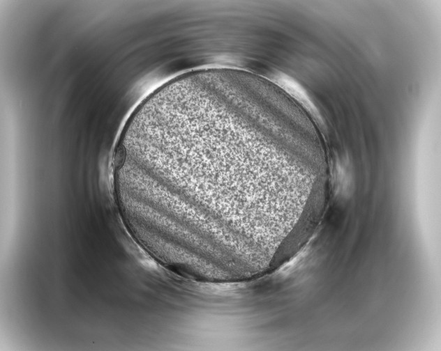 X0000087061292200705021209