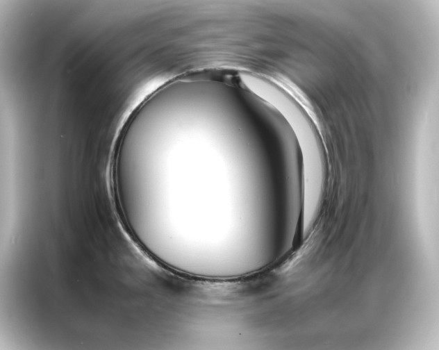 X0000087061293200705021209