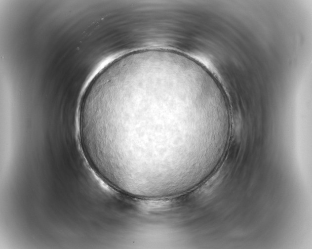 X0000087061294200705021209