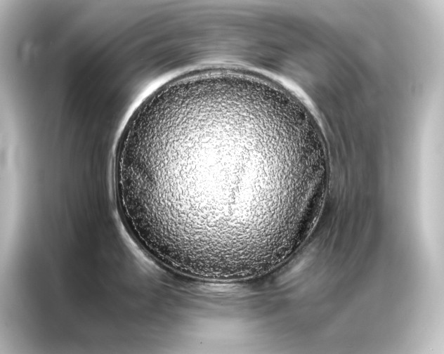 X0000087061295200705021209