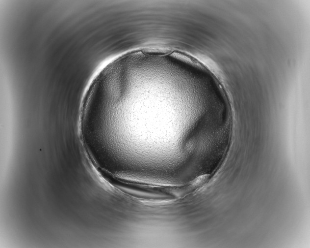 X0000087061296200705021209