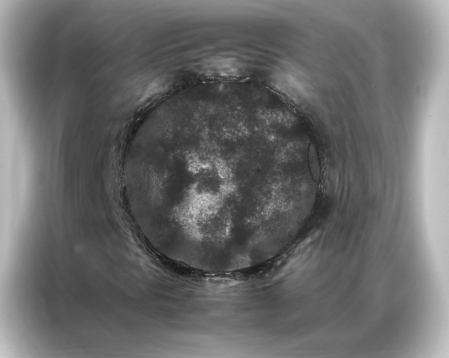 X0000087061297200705021208