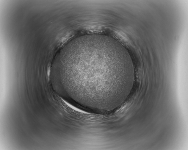 X0000087061298200705021208