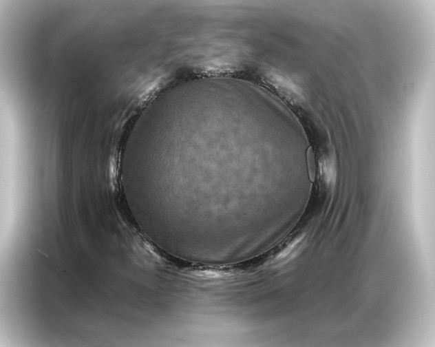 X0000087061300200705021208