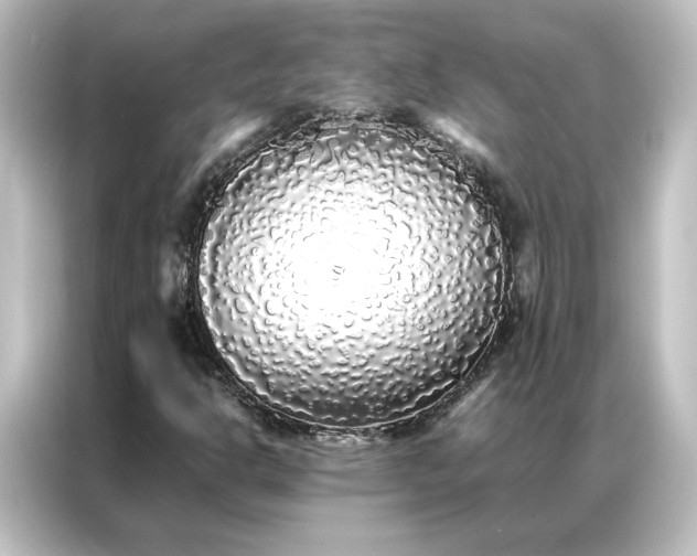 X0000087061302200705021208