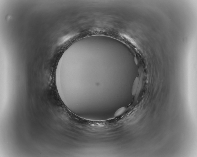 X0000087061303200705021208