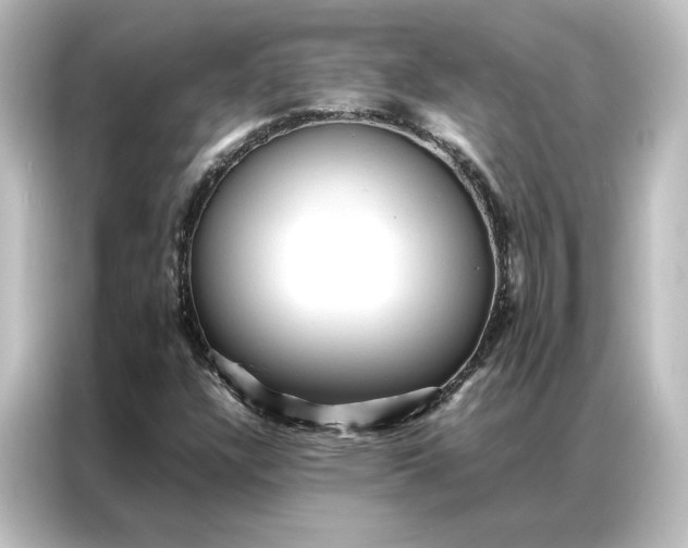 X0000087061304200705021208