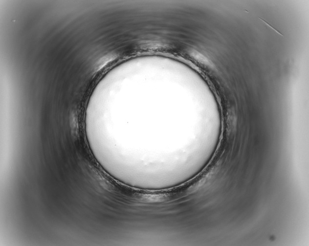 X0000087061305200705021208