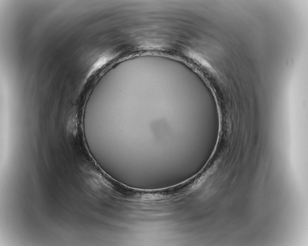 X0000087061306200705021208