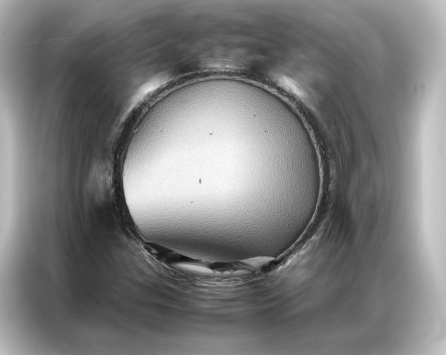 X0000087061307200705021208