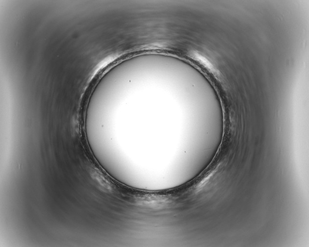 X0000087061308200705021208